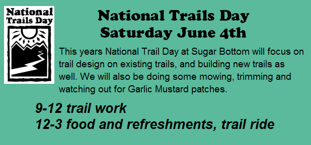 trailday